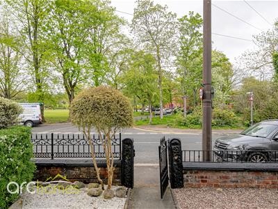 Picture 20